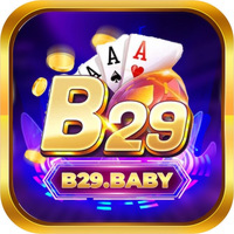 B29