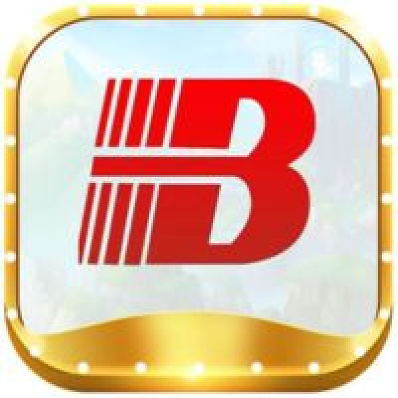 bsport