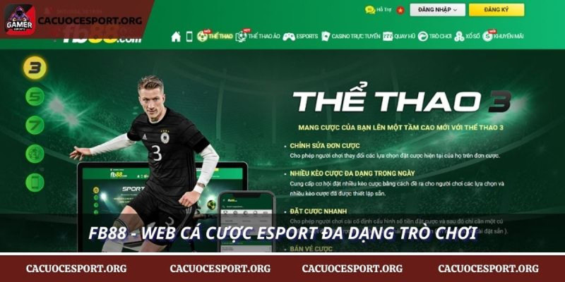 Cá Cược Esport  Casino