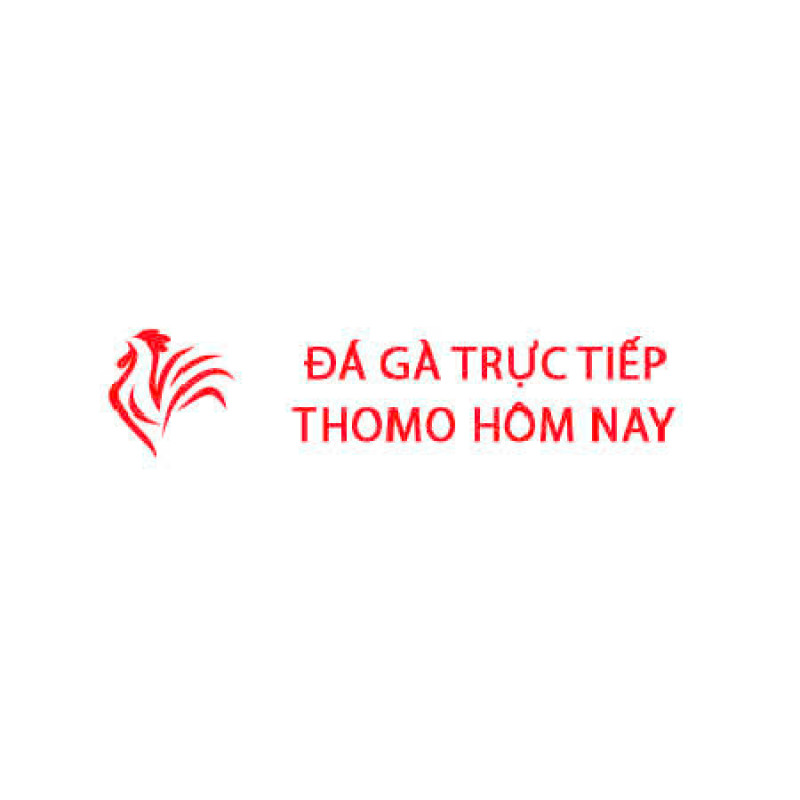 Đá Gà Trực Tiếp Thomo Hôm Nay