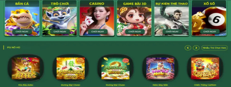 cwin05nl