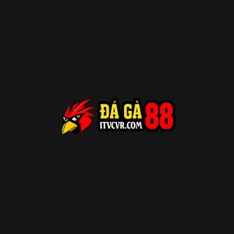 ĐÁ GÀ 88 ĐÁ GÀ TRỰC TIẾP THOMO HÔM NAY Full HD
