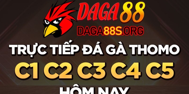Daga88 – Trường gà trực tuyến chuẩn