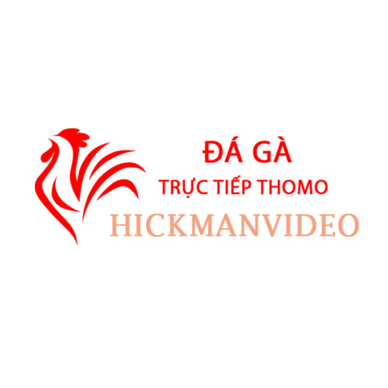 Đá Gà Trực Tiếp Thomo
