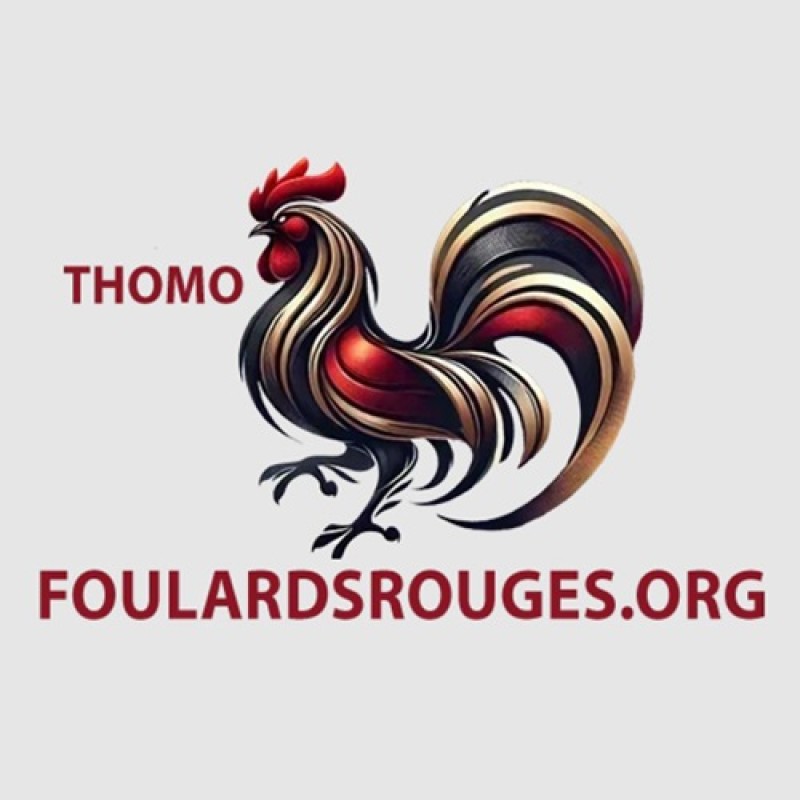 ĐÁ GÀ THOMO TRỰC TIẾP FOU