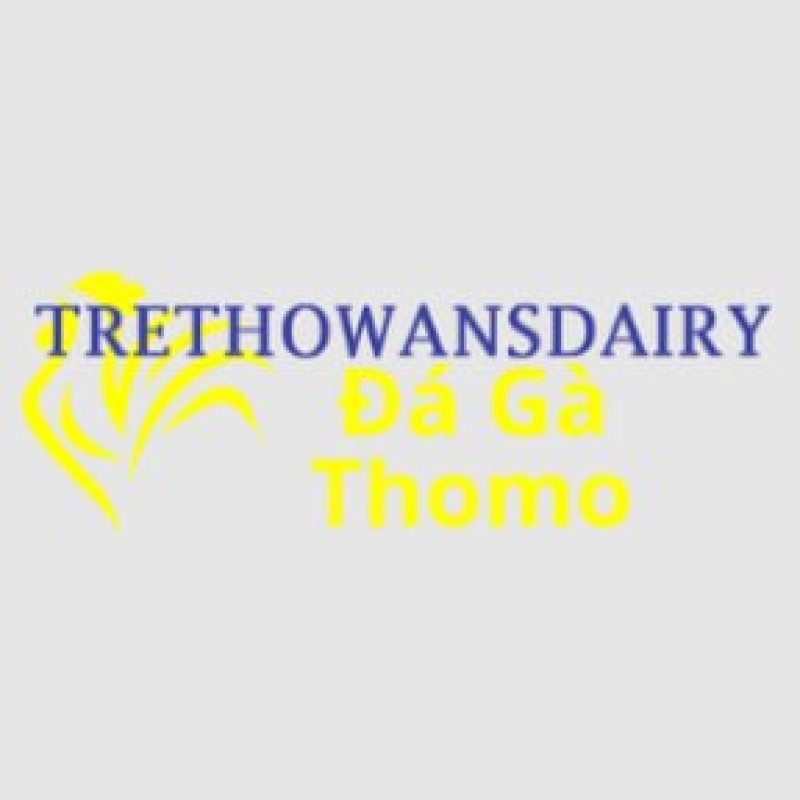 Đá Gà Trực Tiếp Thomo