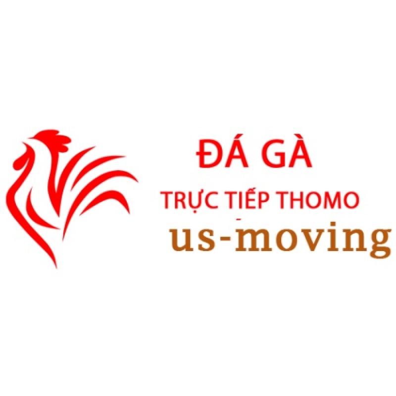 Đá Gà Trực Tiếp Thomo Hôm Nay