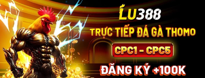 Lu388 Top