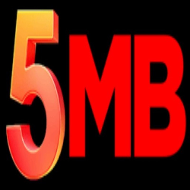 5MB