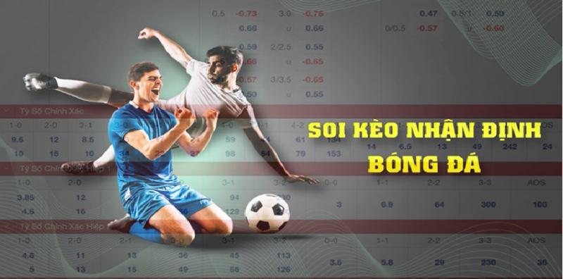 Nhận định bóng đá 24h