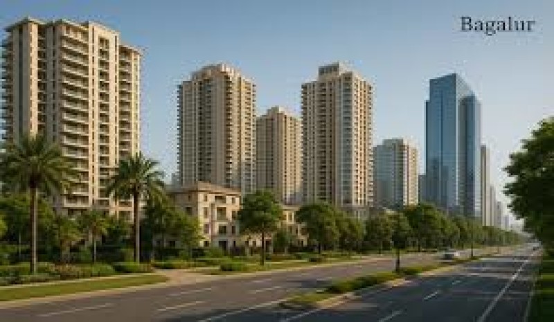 Purva Northern Lights