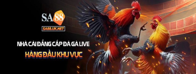 SA88 | CỔNG GAME ĐÁ GÀ SA88 CHUẨN TRƯỜNG GÀ