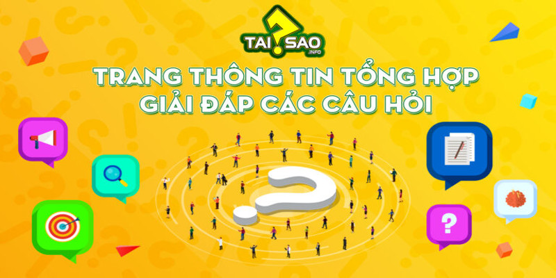 Tại Sao Info