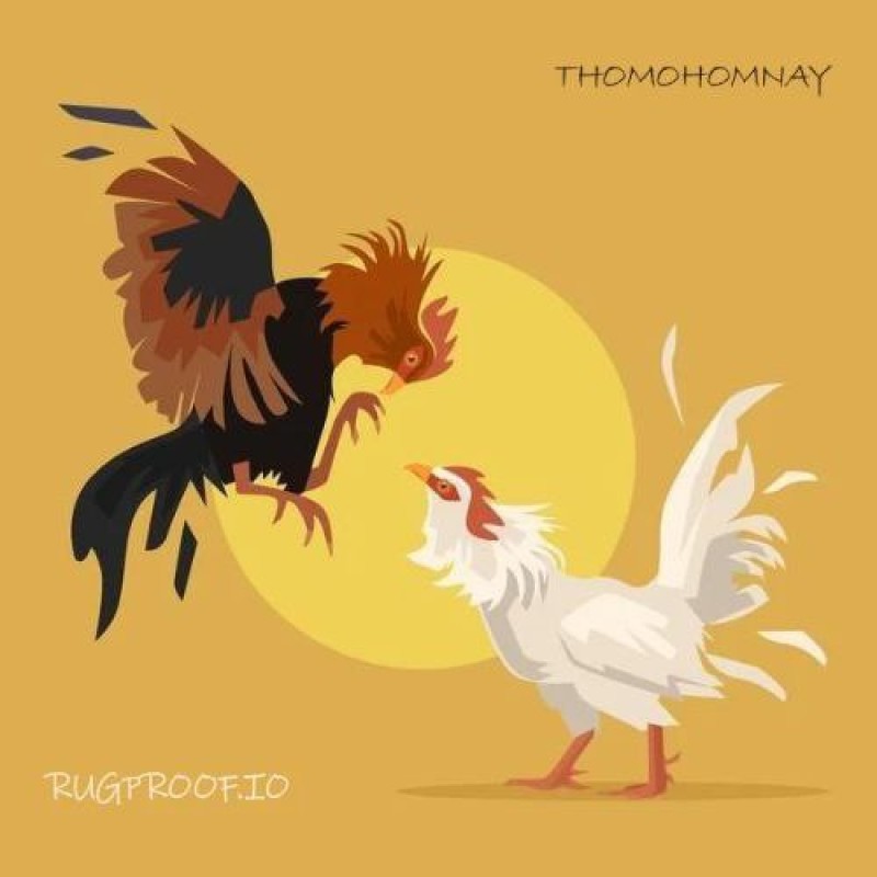 Thomo homnay