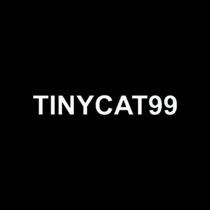 TinyCat99