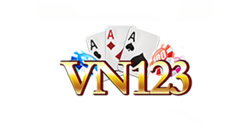 VN123