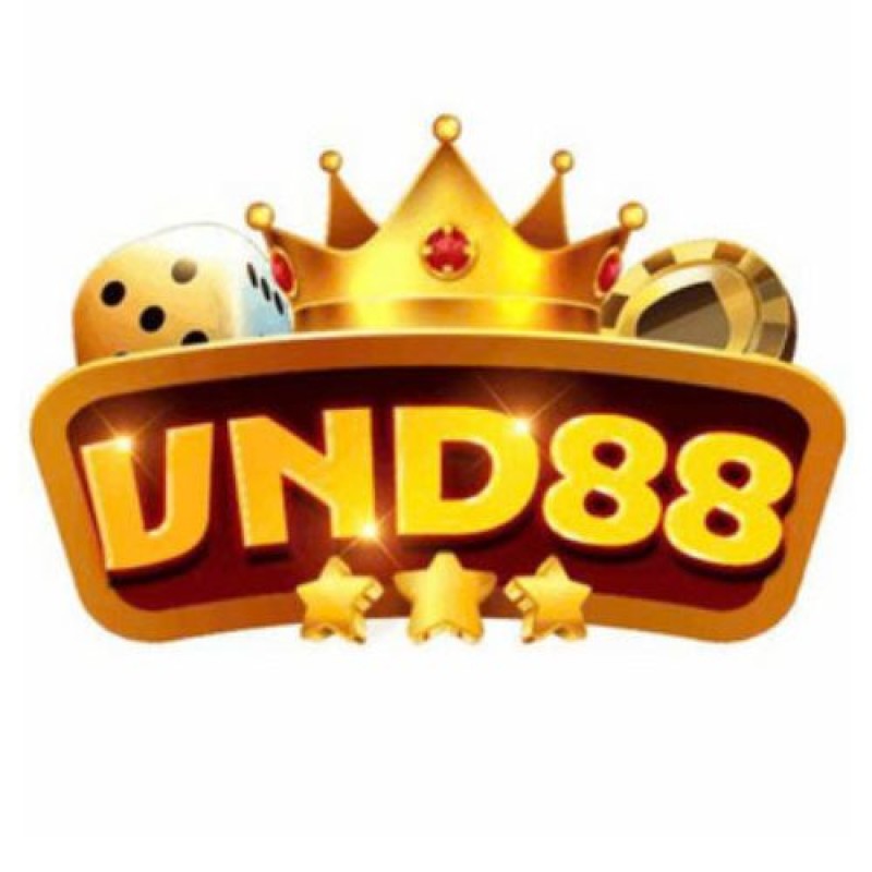 VND88 work