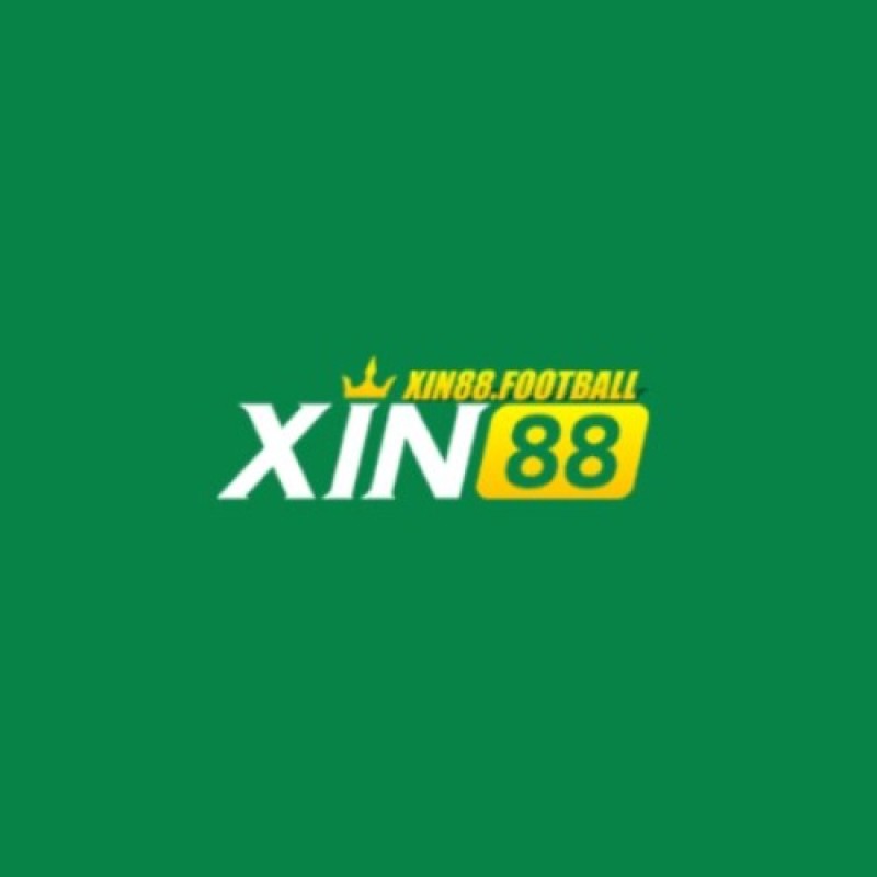 xin88