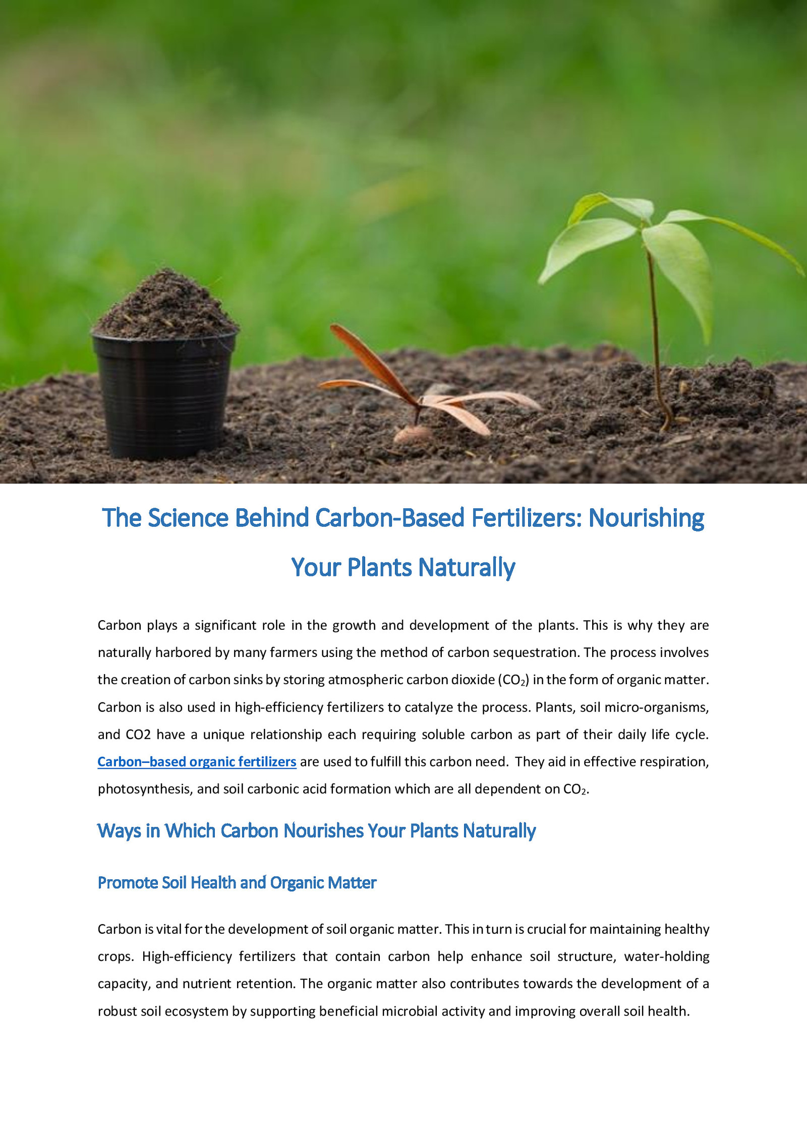 The Science Behind Carbon-Based Fertilizers: Nourishing Your Plants Naturally