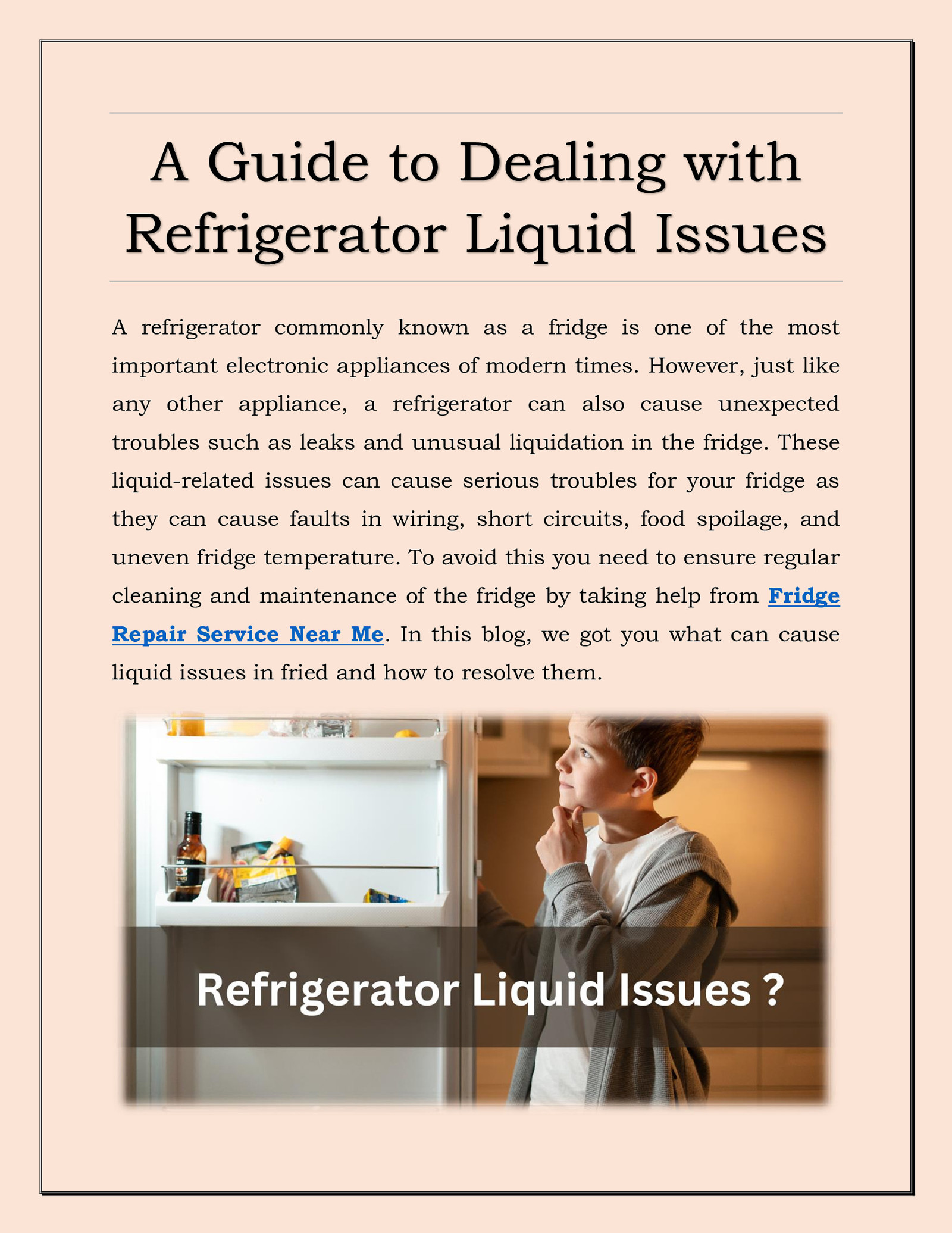 A Guide to Dealing with Refrigerator Liquid Issues