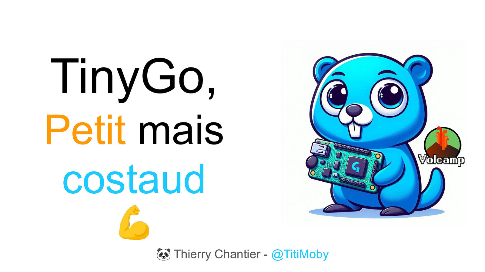 [Volcamp 2024] TinyGo, petit mais costaud ! 💪 by Thierry Chantier