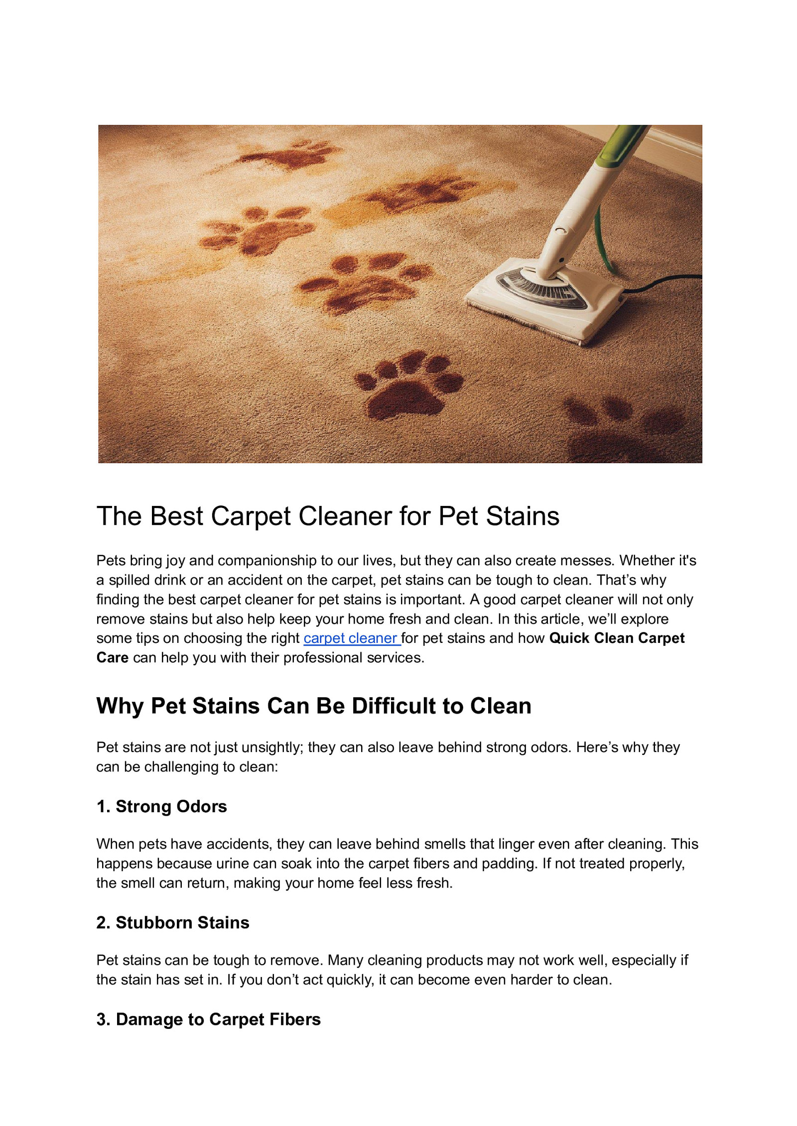 The Best Carpet Cleaner for Pet Stains