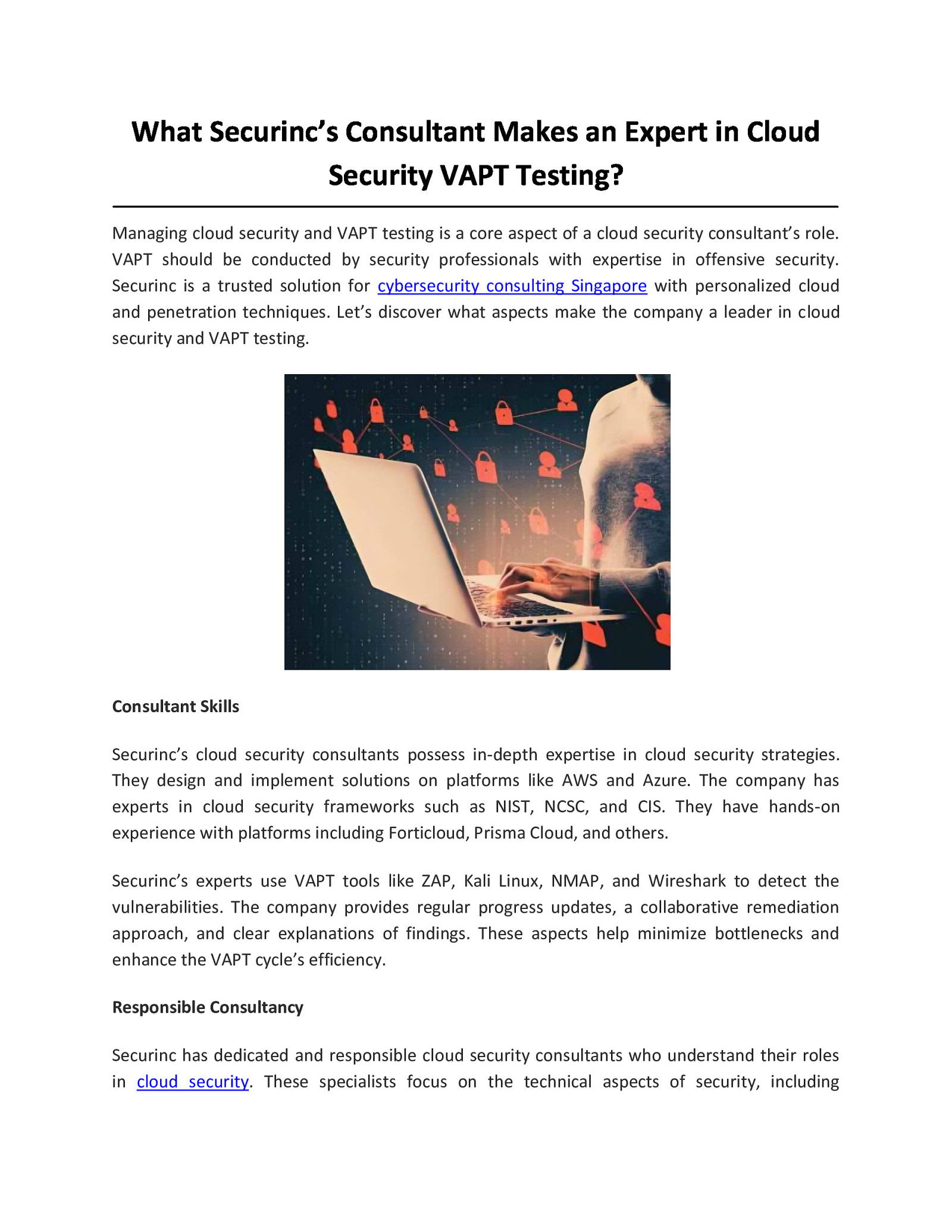 What Securinc’s Consultant Makes an Expert in Cloud Security VAPT Testing?