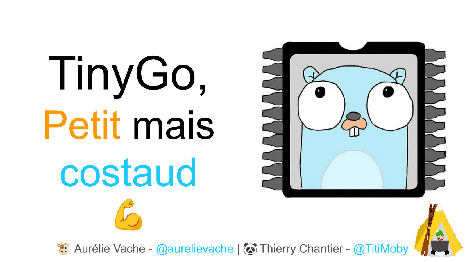 [SnowCamp 2025] TinyGo, petit mais costaud ! 💪