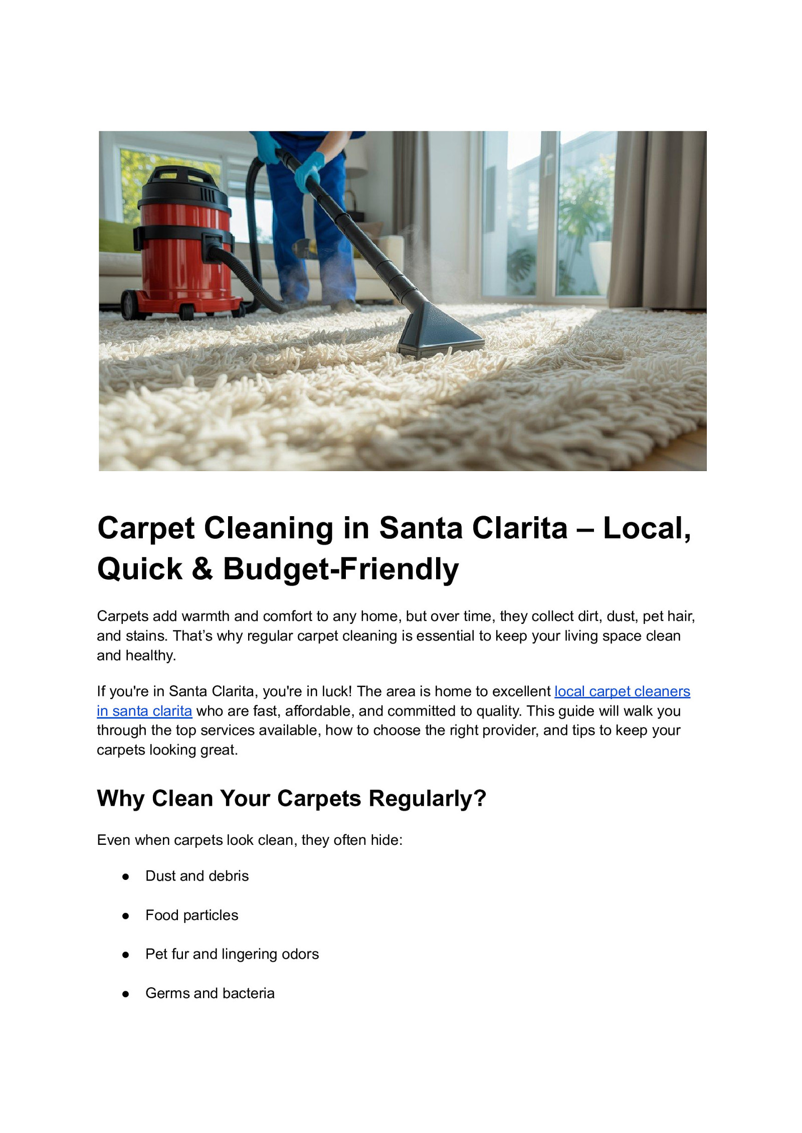 Carpet Cleaning in Santa Clarita – Local, Quick & Budget-Friendly