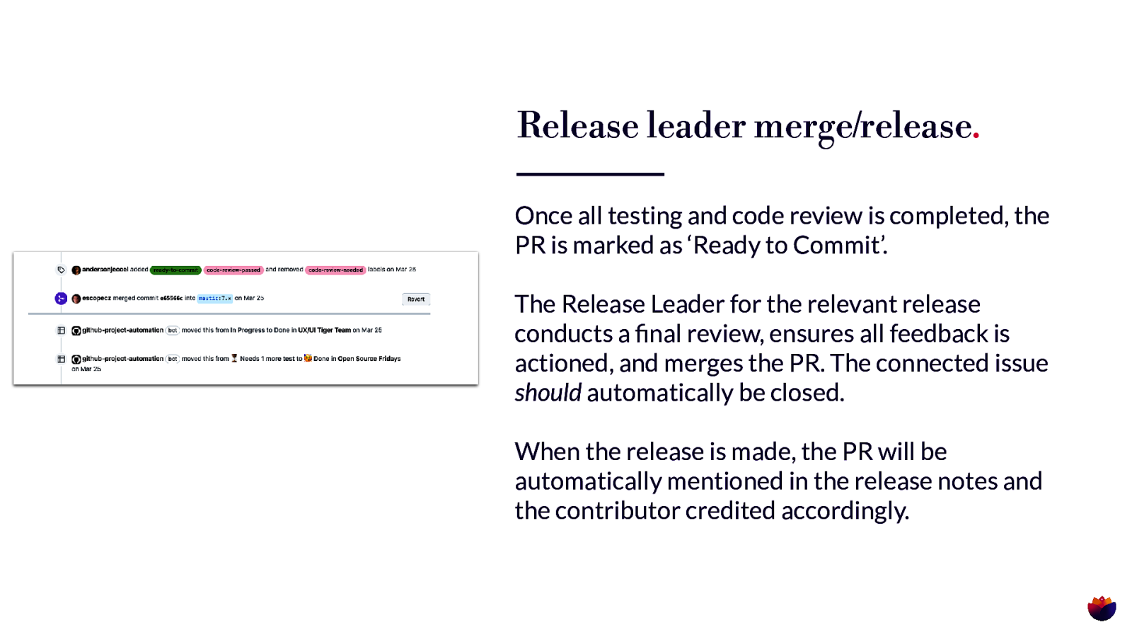 Slide 11