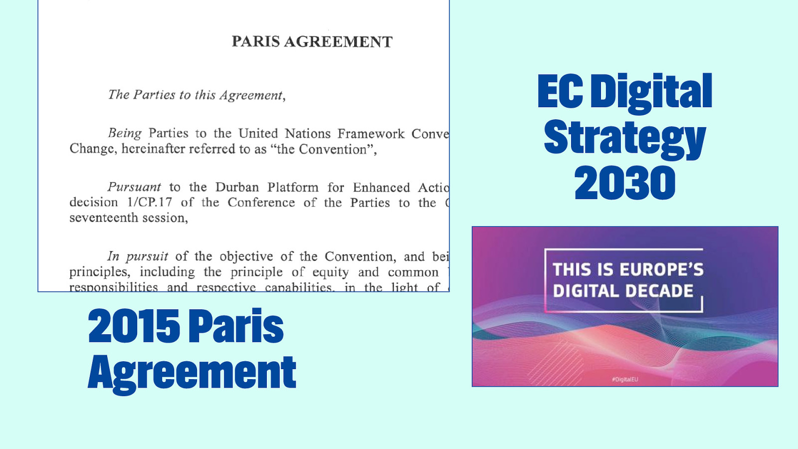 Slide 8