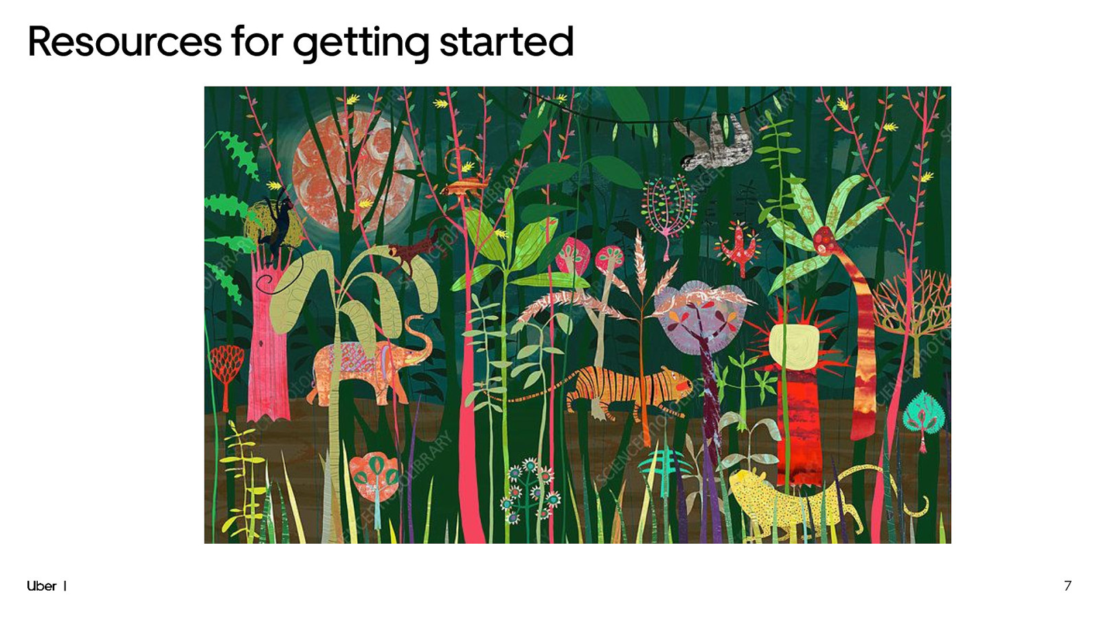 Slide 7