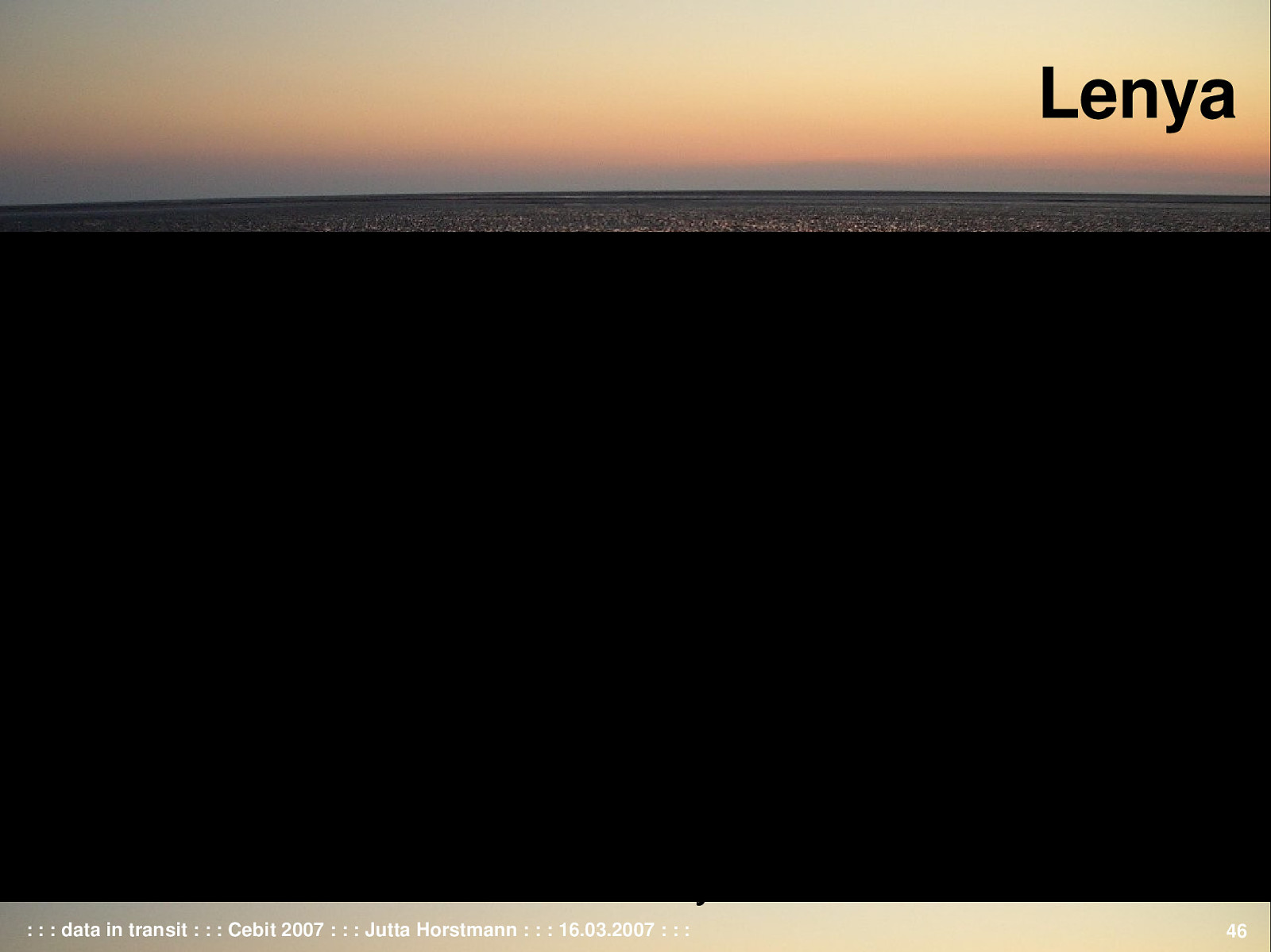 Slide 46