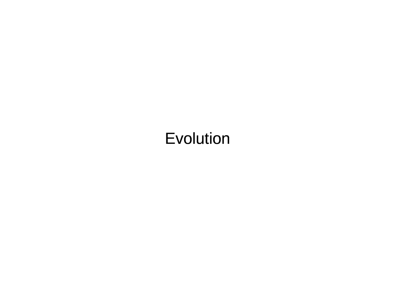 Slide 15