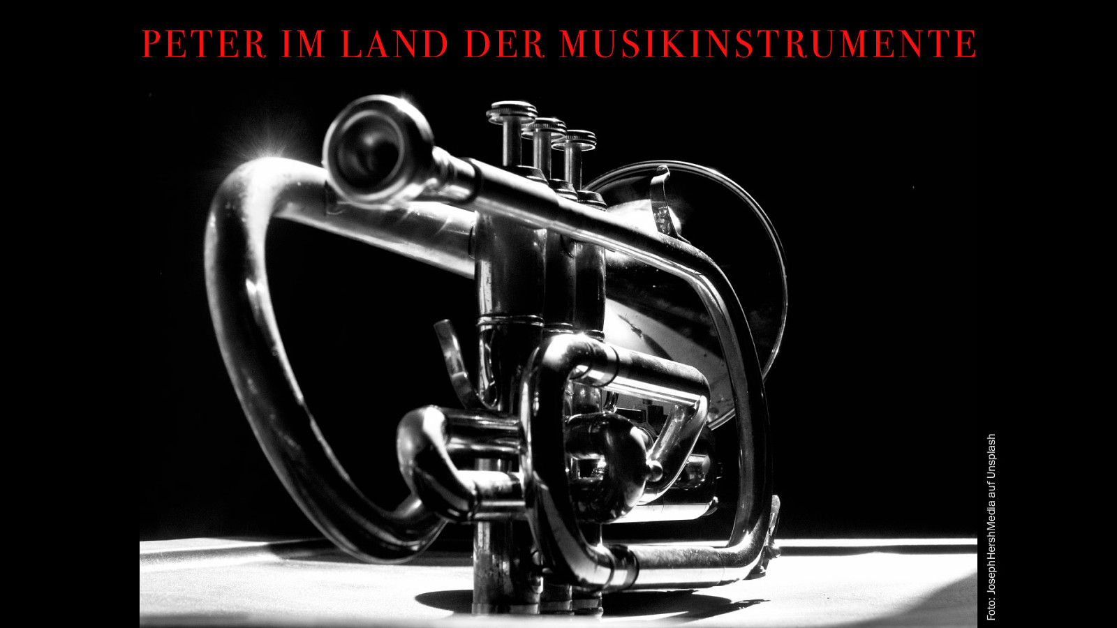 Peter im Land der Musikinstrumente