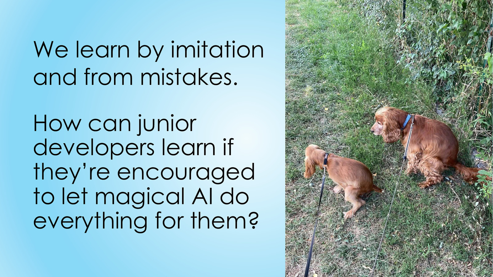 Slide 36