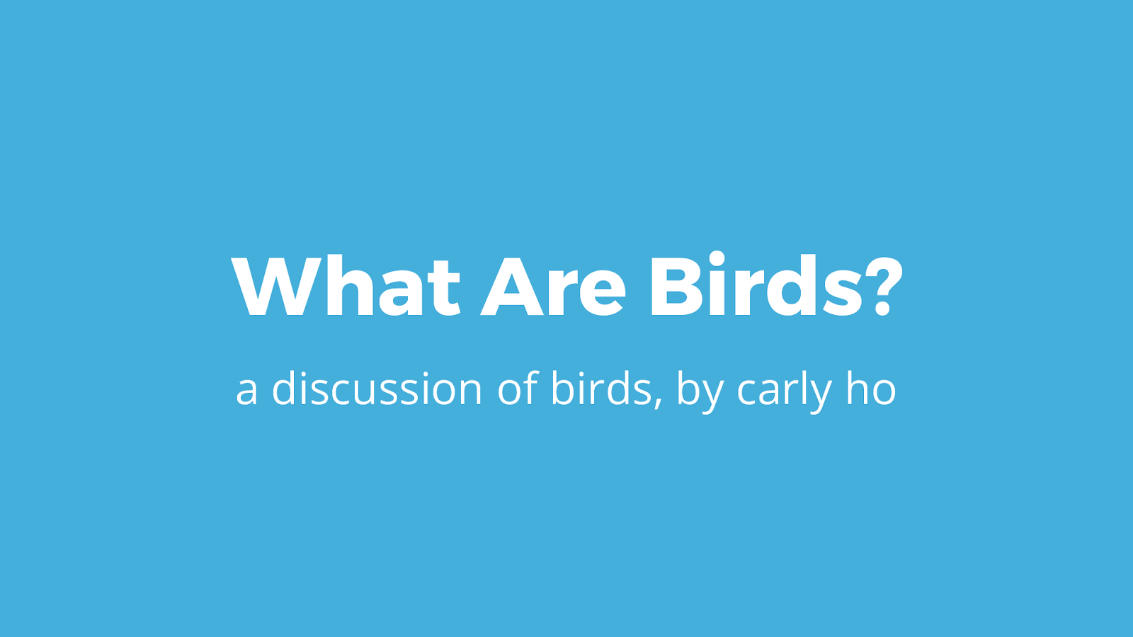 What are birds?