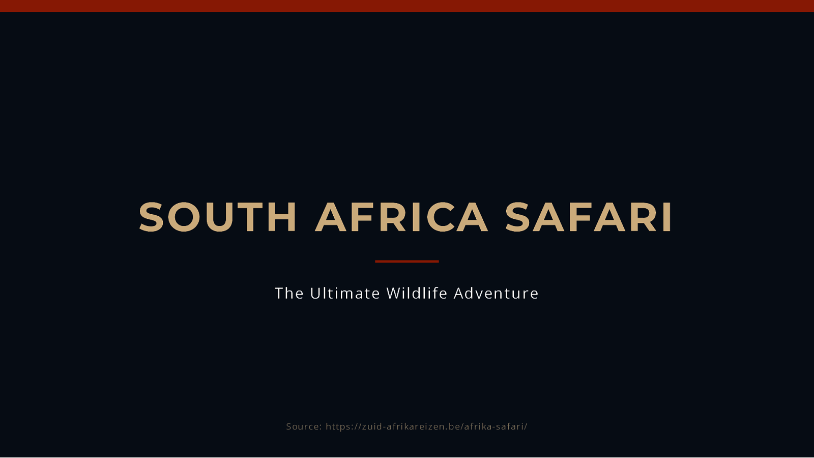 SOUTH AFRICA SAFARI ~ The Ultimate Wildlife Adventure by Peter Van deb Broecke