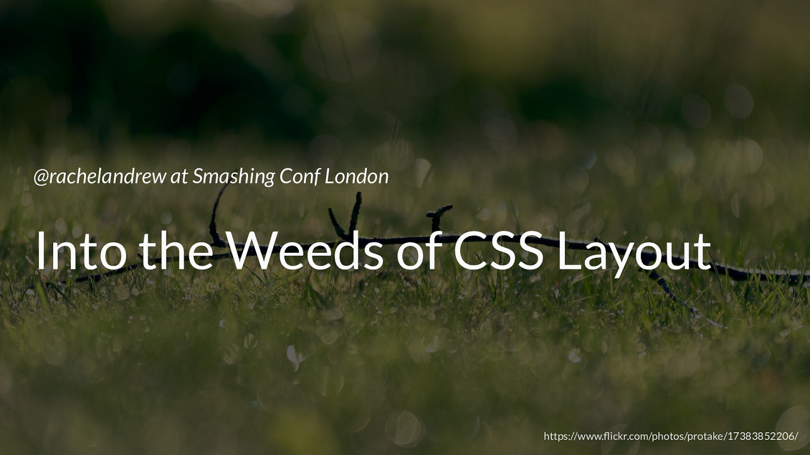 Into The Weeds of CSS Layout