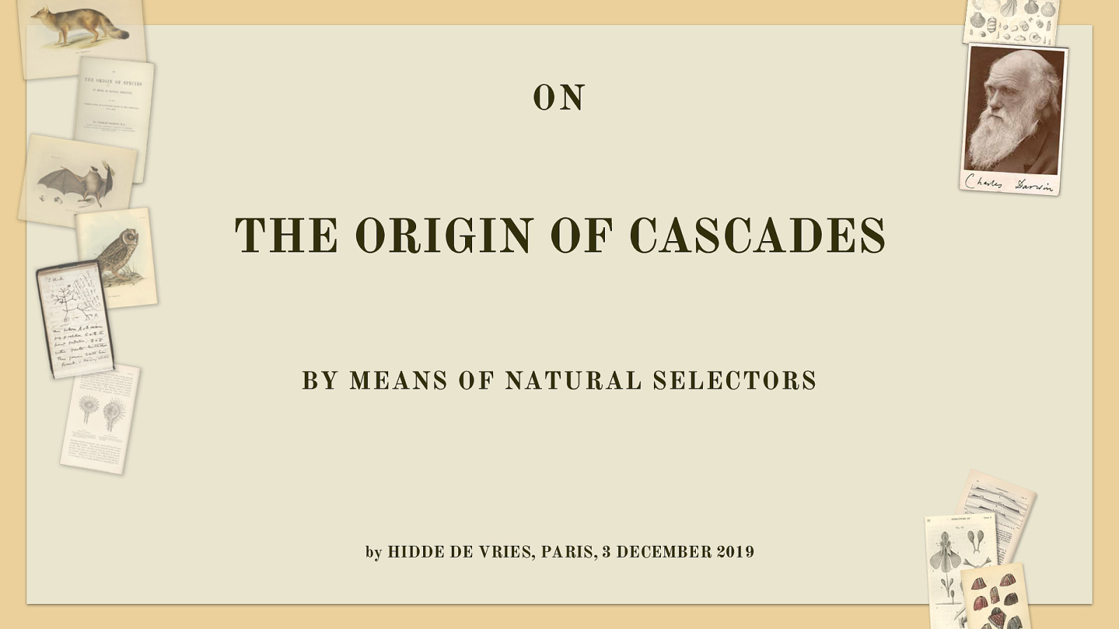On the origin of cascades