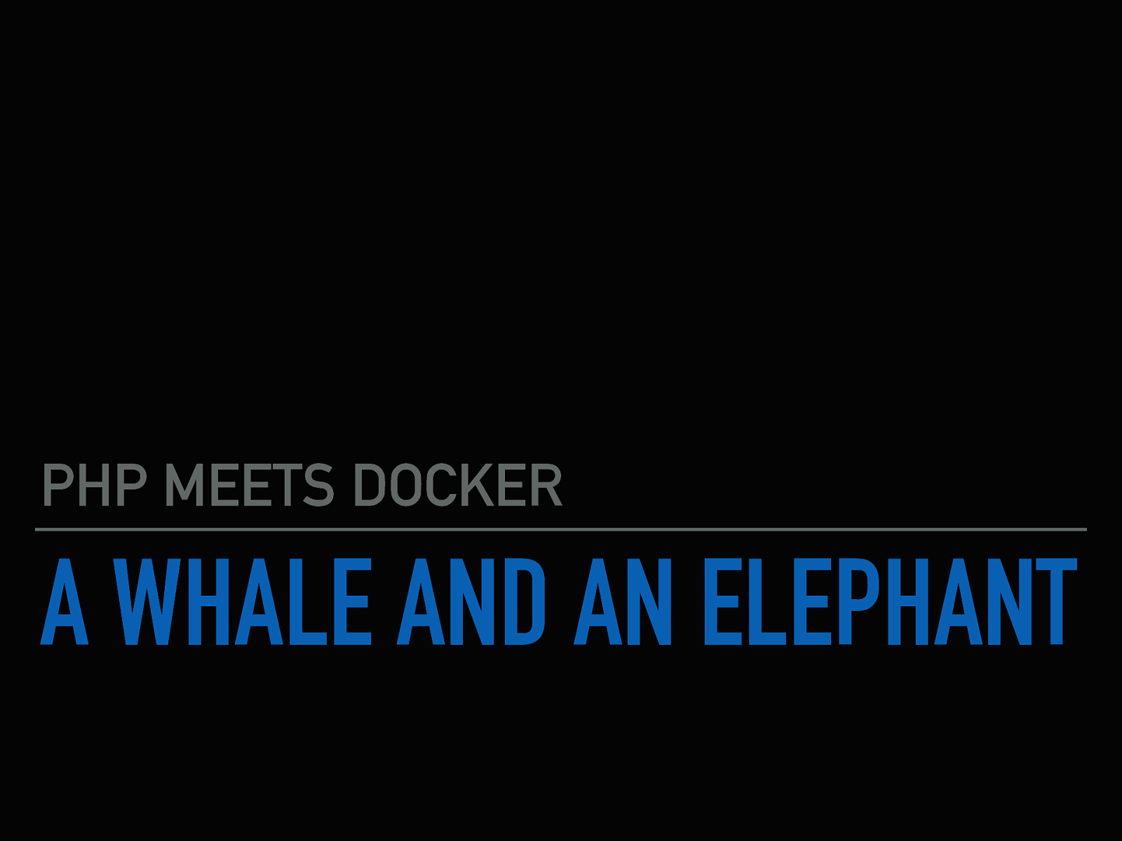 A Whale and an Elephant