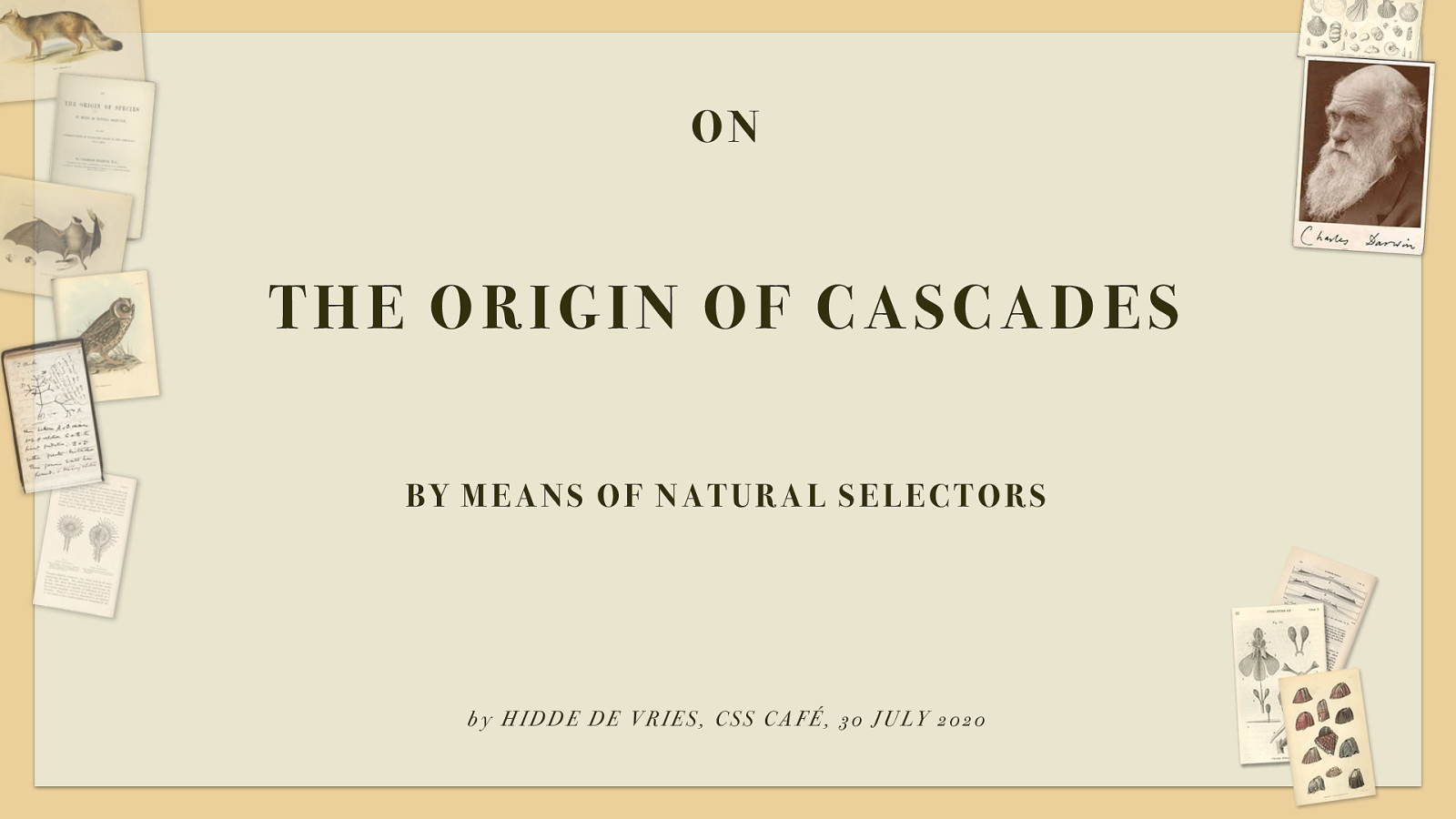 On the origin of cascades
