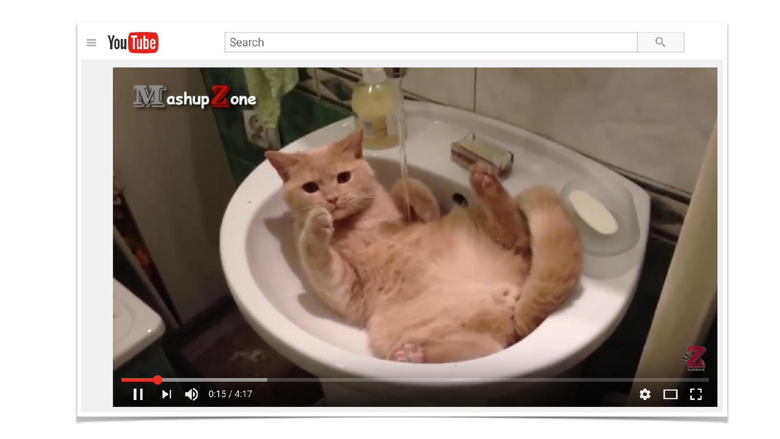 Включи смешное видео 3. Смешные коты. Смешные видеоролики про котов. Смешные видосики про котиков. Смешные коты и кошки до слёз.