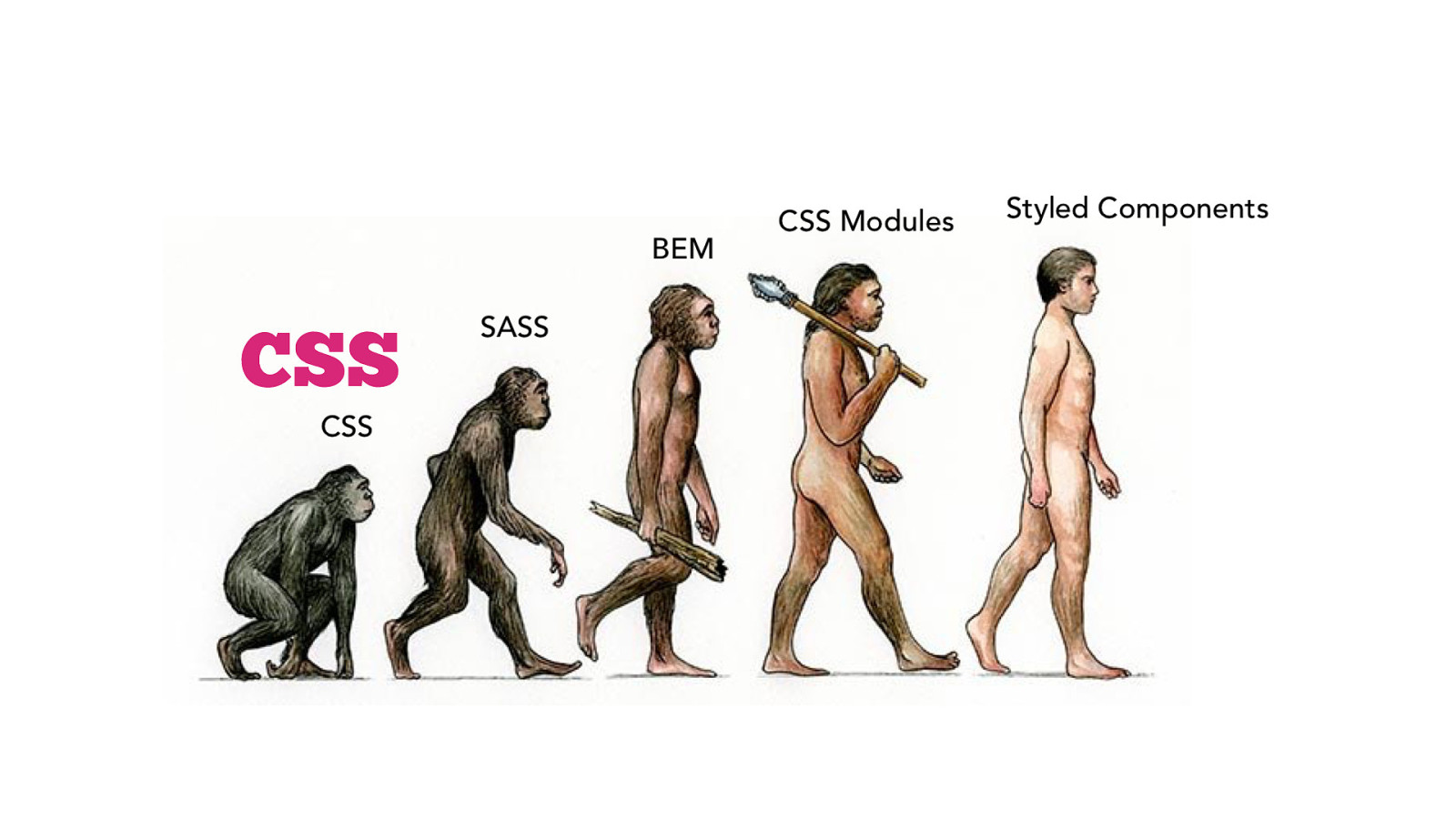 Стадии развития человека от обезьяны до человека