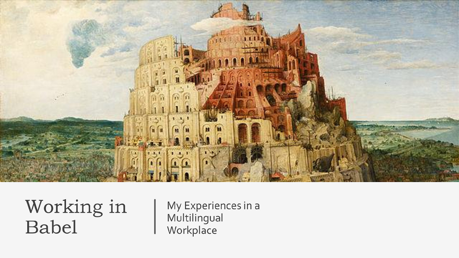 Working in Babel: My Experiences in a Multilingual Workplace
