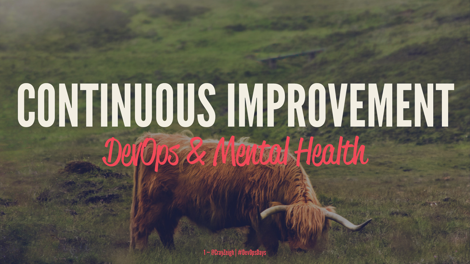 Continuous Improvement: DevOps and Mental Health