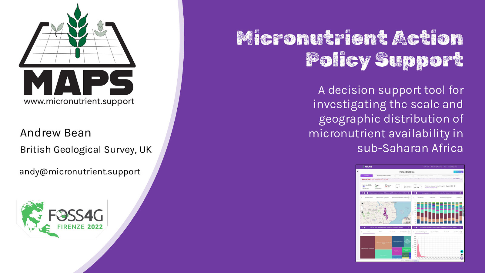 Micronutrient Action Policy Support - A decision support tool for investigating the scale and geographic distribution of micronutrient availability in sub-Saharan Africa