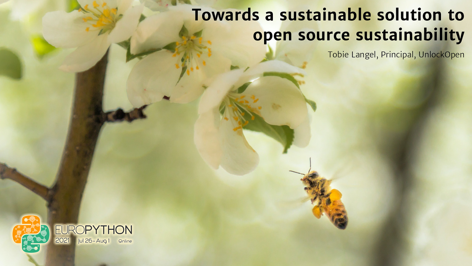 Towards a sustainable solution to open source sustainability