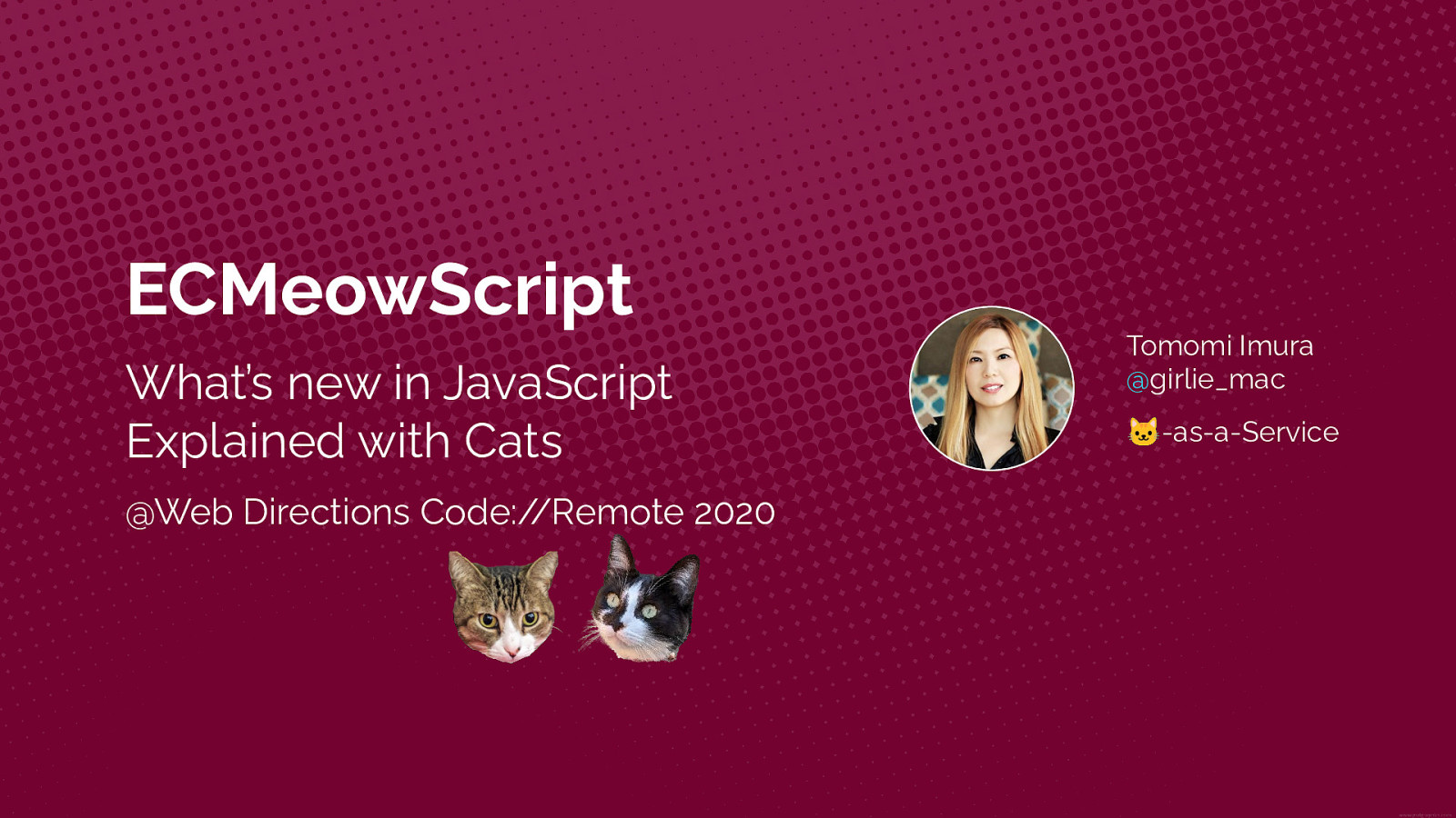 ECMeowScript - What’s New in JavaScript Explained with Cats