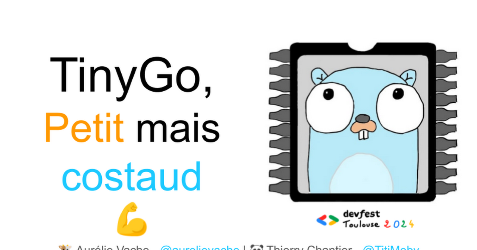 TinyGo, petit mais costaud ! 💪